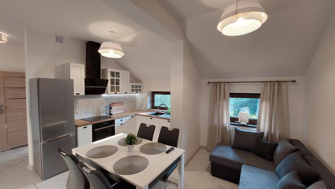 Apartamenty Starowiejska 39, Ryczow - 10Km Od Zator Energylandia エクステリア 写真