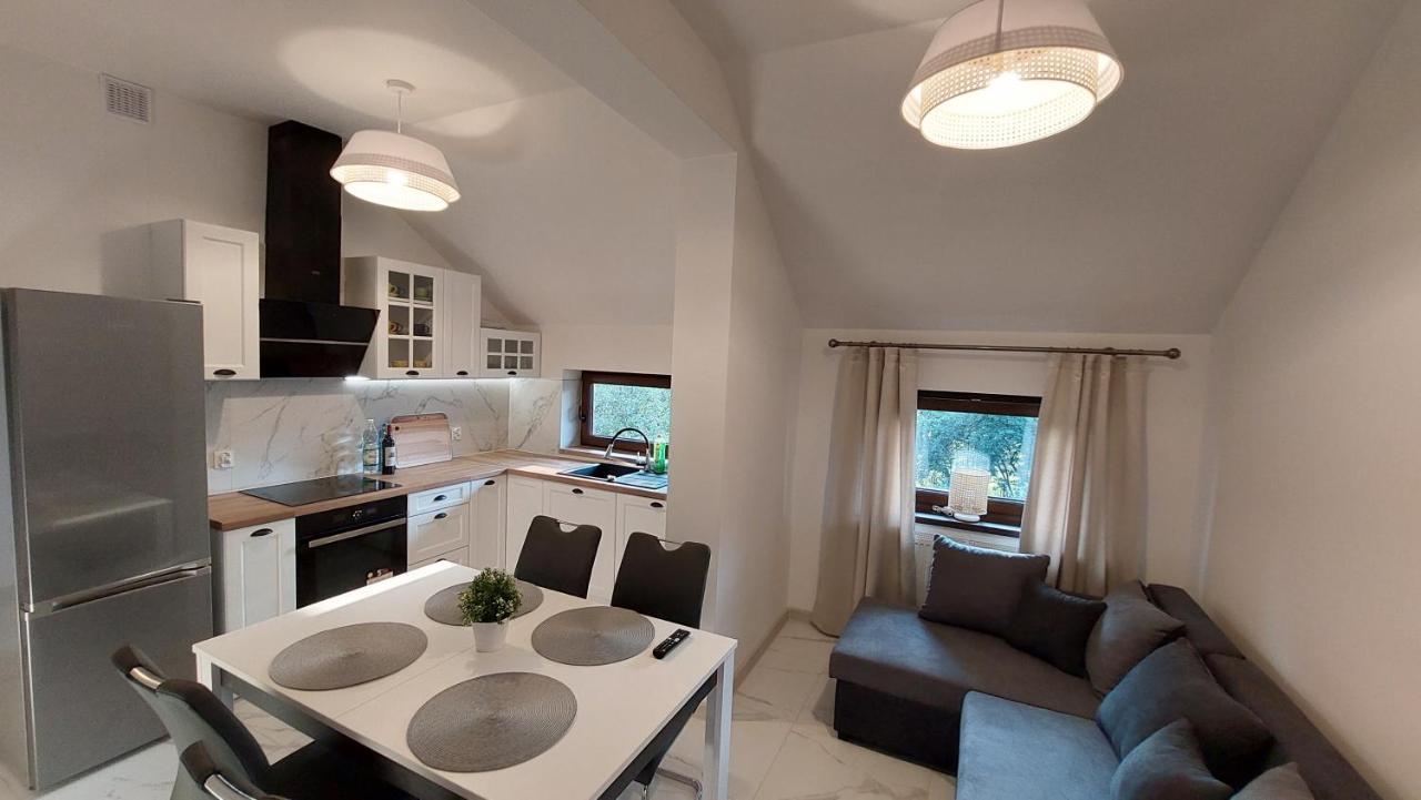 Apartamenty Starowiejska 39, Ryczow - 10Km Od Zator Energylandia エクステリア 写真